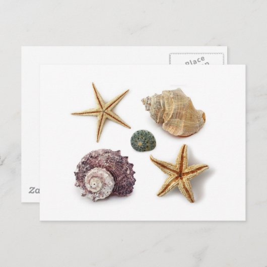 rustikaler Seesterne Postkarte (Vorne/Hinten)