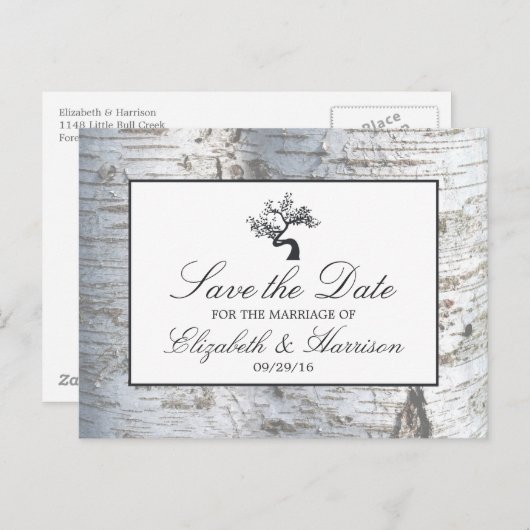 Rustikaler Silberbaum Save the Date Ankündigungspostkarte (Vorne/Hinten)