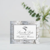 Rustikaler Silberbaum Save the Date Ankündigungspostkarte (Stehend Vorderseite)