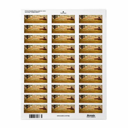 Rustikaler Stall mit String Lights (Vorne)