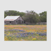 Rustikaler Stall Texas Bluebonnets Decoupage Seidenpapier (Vorderseite)