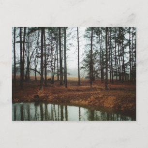 Rustikaler Teich Postkarte