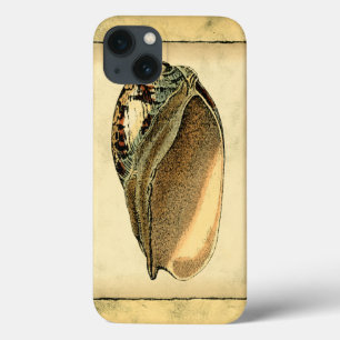 Rustikaler Vintager Seashell Case-Mate iPhone Hülle