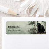 Rustikaler Wald mit einfacher Schwarzbär-Adresse (Insitu)