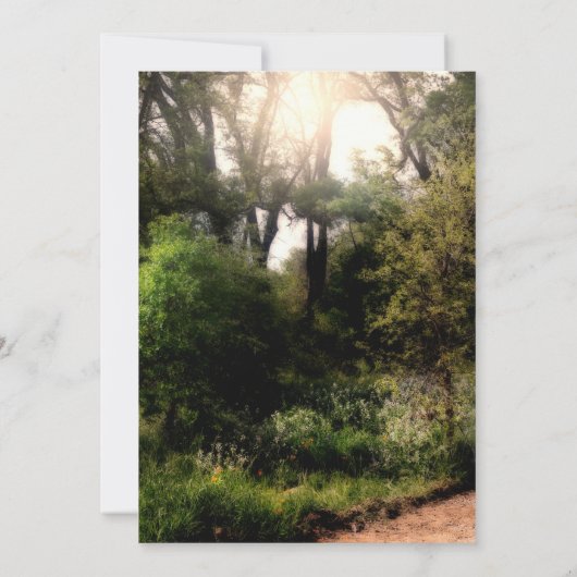 Rustikaler Weg Blumen verzauberter Wald Süß 16 Einladung (Rückseite)