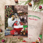 Rustikaler Weihnachtsabend, Familie Rough Collie -<br><div class="desc">Senden Sie Ihren Freunden und Kollegen Collie Liebhaber fröhliche Weihnachtswünsche mit dieser charmanten, personalisierten Holiday Grußkarte, die eine rustikale Weihnachtsfeierszene mit herrlichen Colliesen zeigt. Die Vorderseite zeigt eine Familie Rough Collie mit einem blauen, reinen Welpen, umgeben von Geschenken vor einem Kamin und einem Weihnachtsbaum, und die Rückseite kommt mit einem...</div>