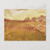 Rustikaler Weinberg im Napoleon Postkarte (Vorderseite)