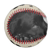 Rustikaler Welpen Erster Weihnachtshund Paw Foto C Baseball (Vorderseite Links)