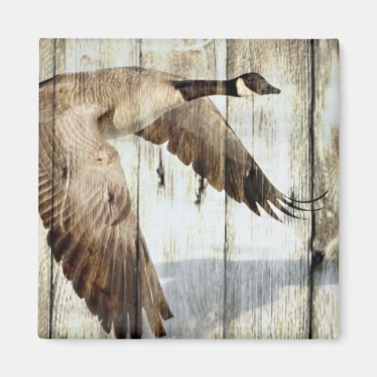 Rustikaler Western aus Stallholz Land fliegt Wilde Magnet (Vorne)