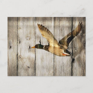 Rustikaler Western aus Stallholz Land fliegt Wilde Postkarte