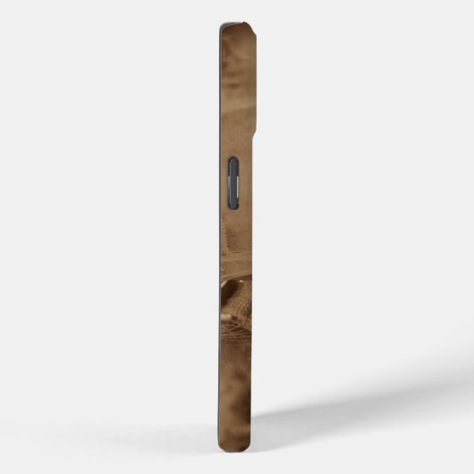 Rustikaler Western Brown Horse Case-Mate iPhone Hülle (Rückseite / Rechts)