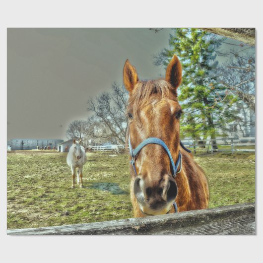 Rustikaler Western Geschenkpapier (Flach)