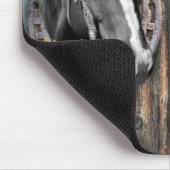 Rustikaler Western Pferde Cowboy Stiefel Sonnenblu Mousepad (Ecke)
