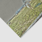 Rustikaler Western Seidenpapier (Ausschnitt)