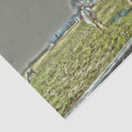 Rustikaler Western Seidenpapier (Ausschnitt)