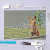 Rustikaler Western Seidenpapier (Handwerk)