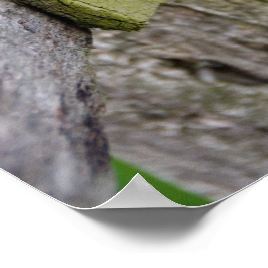 Rustikaler Wetterzaun Poster (Ecke)