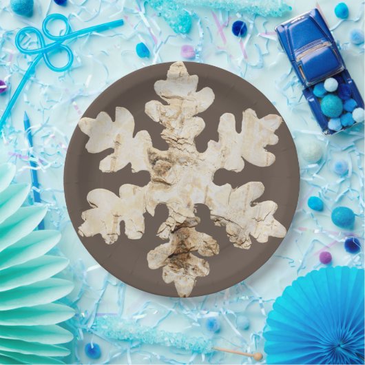 Rustikaler Winter Birchwood Schneeflocke braun wei Pappteller (Party)