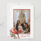 Rustikaler Winter Kardinal Holly Branch Feiertagskarte (Vorderseite)