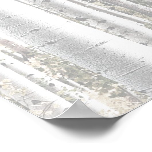 Rustikaler Winterweiße Birkenwald Poster (Ecke)