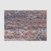 Rustikales altes verwittertes Holz mit Nägeln Seidenpapier (Vorderseite)