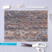 Rustikales altes verwittertes Holz mit Nägeln Seidenpapier (Handwerk)