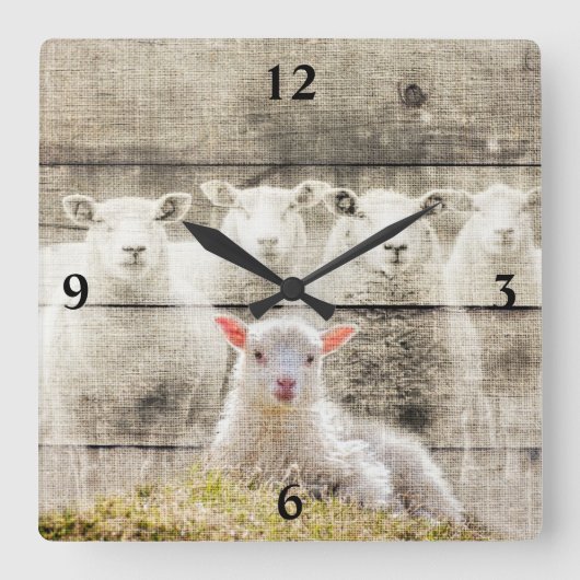 Rustikales Baby Lamb Burlap Square Wall Clock Quadratische Wanduhr (Vorderseite)
