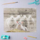 Rustikales Baby Lamm Seidenpapier (Basteln)