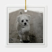 Rustikales Barntor Happy Holidays Holly Pet Foto Keramikornament (Rückseite)