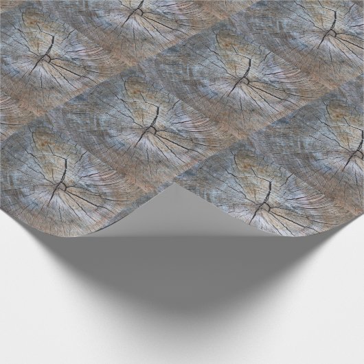 Rustikales Baumringmuster Geschenkpapier (Ecke)