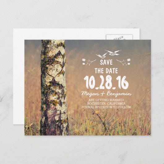 Rustikales Birkenwäldchen Save the Date Ankündigungspostkarte (Vorne/Hinten)