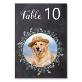 Rustikales Chalkboard Foto Pet Wedding Eukalyptus Tischnummer (Rückseite)