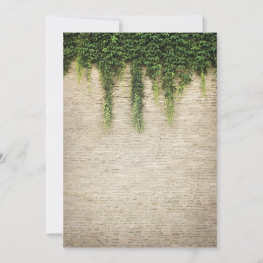 Rustikales Chateau Stone Church String Lights Wedd Einladung (Rückseite)