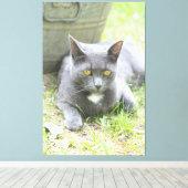 Rustikales Design, graue Katze Leinwanddruck (Insitu (Holzboden))