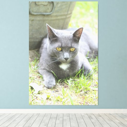 Rustikales Design, graue Katze Leinwanddruck (Insitu (Holzboden))
