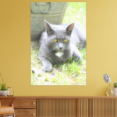 Rustikales Design, graue Katze Leinwanddruck (Insitu (Wohnzimmer))