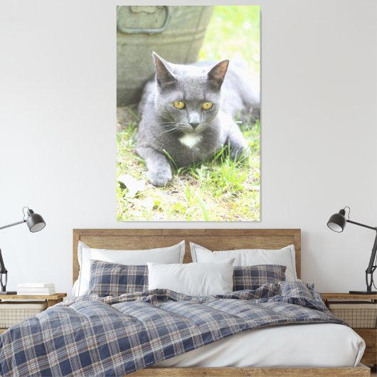 Rustikales Design, graue Katze Leinwanddruck (Insitu (Schlafzimmer))