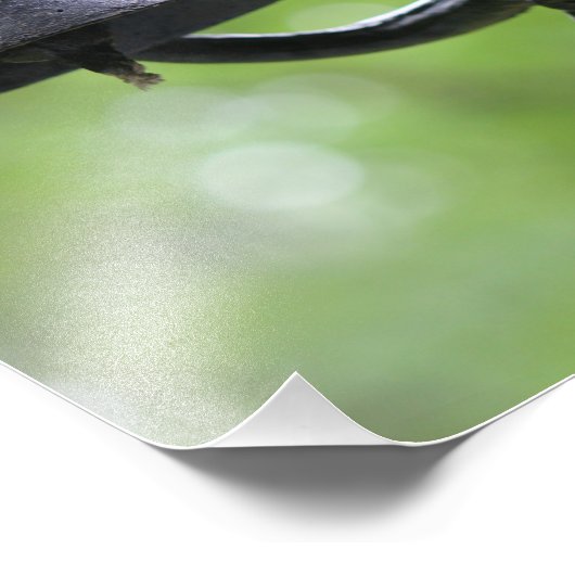 Rustikales Dinner Bill mit Steer Fotodruck (Ecke)