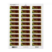 Rustikales dunkles Holz Gelbe Blütenschmetterlings (Vorne)