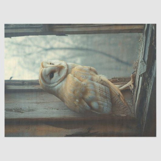 Rustikales Eule im Art-Decoupage-Fenster Seidenpapier (Vorderseite)