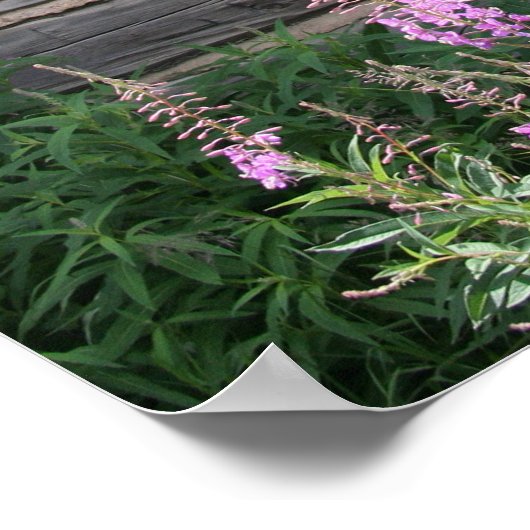 rustikales Fenster 16x20 Poster (Ecke)