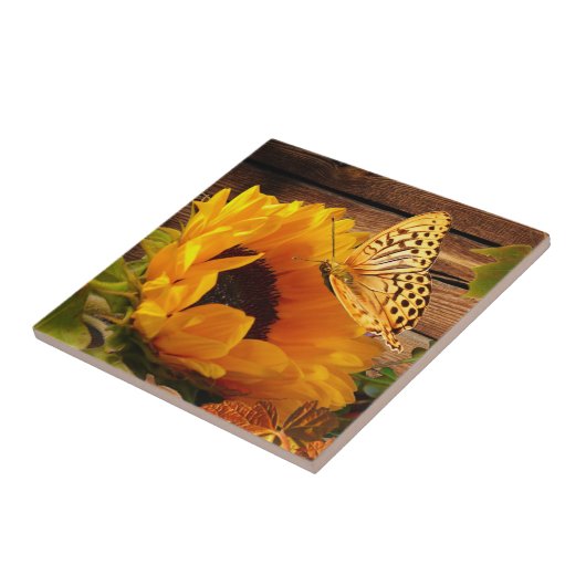 Rustikales Fliese (Seite)