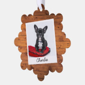 Rustikales Foto für Haustiere Ornament Karte (Linke Ecke)