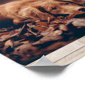 Rustikales Foto für Hunde Poster (Ecke)