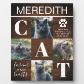 Rustikales Foto zur Holzkatzenkatastrophe Fotoplatte (Vorderseite)