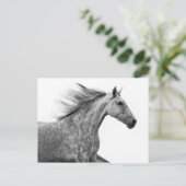 Rustikales Galloping Andalusisches Pferd Postkarte (Stehend Vorderseite)