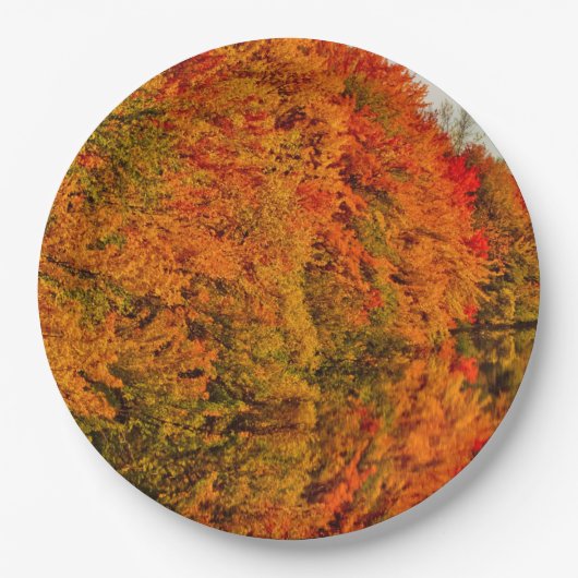 Rustikales Hochzeitsszenario Phantastisch Fall Fol Pappteller (Vorderseite)