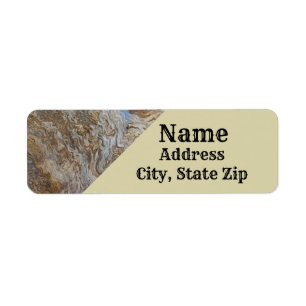 Rustikales Holz Muster Foto Brown Driftwood