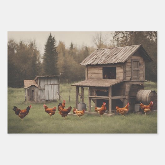 Rustikales Hühnchen Geschenkpapier Set (Vorderseite 2)