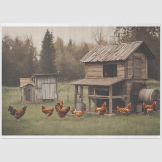 Rustikales Hühnerdekouapge 18 lbs Seidenpapier (Vorderseite)